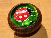 Cloisonné Ladybird by Mark Morris